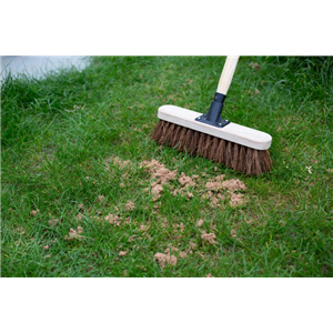 Horticultural Sharp Sand Handy Pack